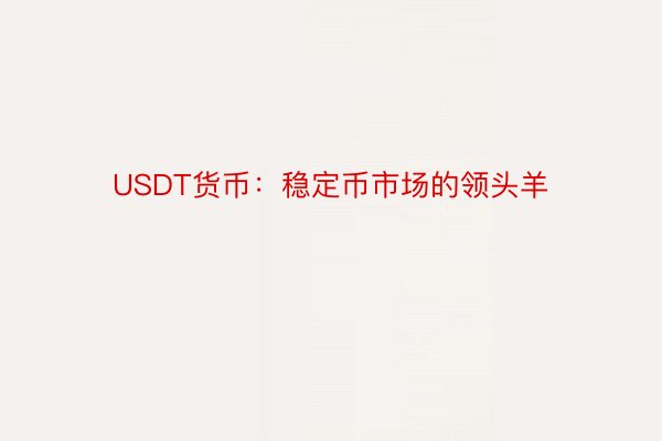 USDT货币：稳定币市场的领头羊