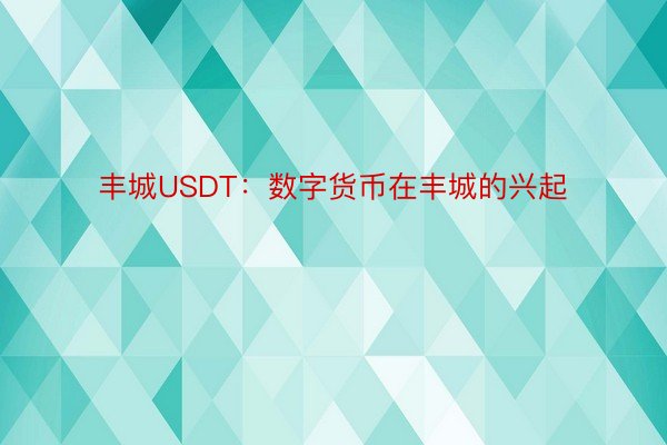 丰城USDT：数字货币在丰城的兴起